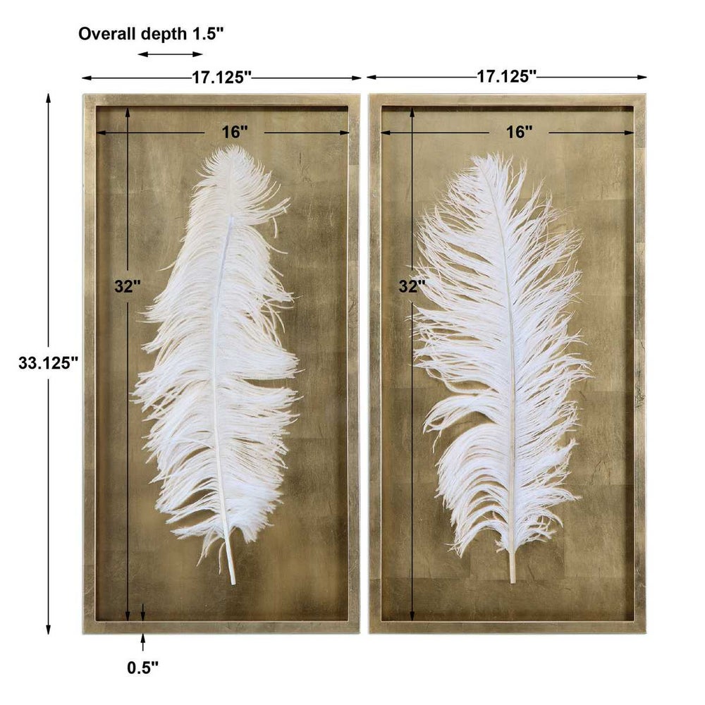 White Feather Shadow Box