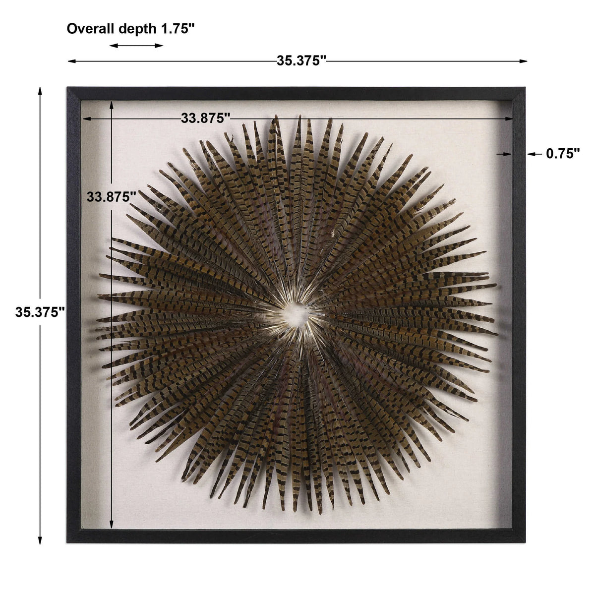 Feather Burst Shadow Box