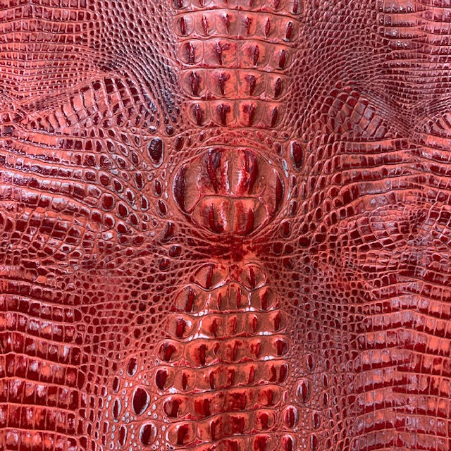 Crocodile Coral