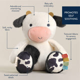 *NEW* Sweetie Snuggles™ Plush
