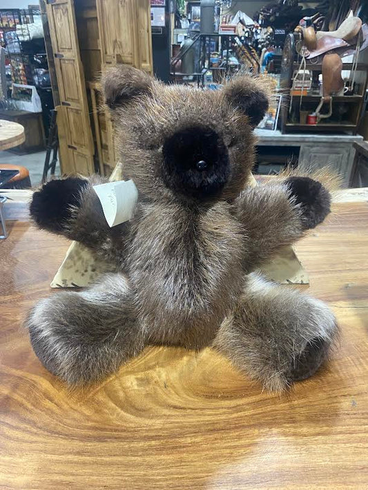 ANR TEDDY BEAR