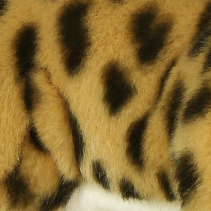 Cheetah Laying