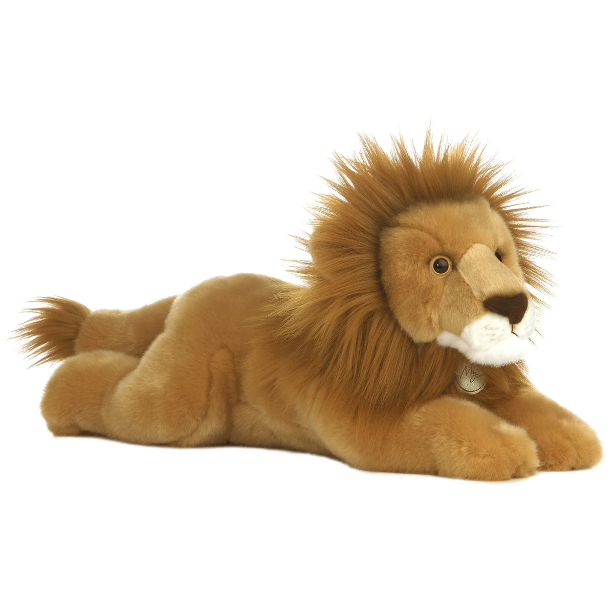 Lion Laying