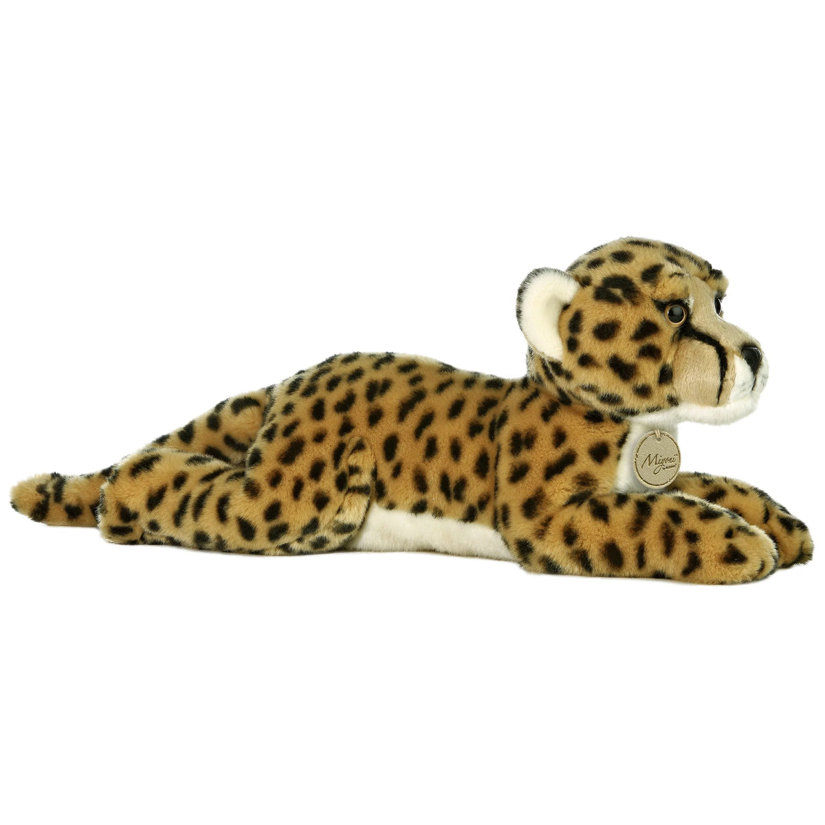 Cheetah Laying