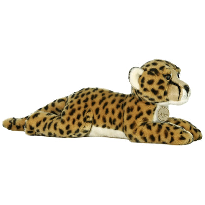 Cheetah Laying