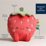 *NEW* Sweetie Snuggles™ Plush