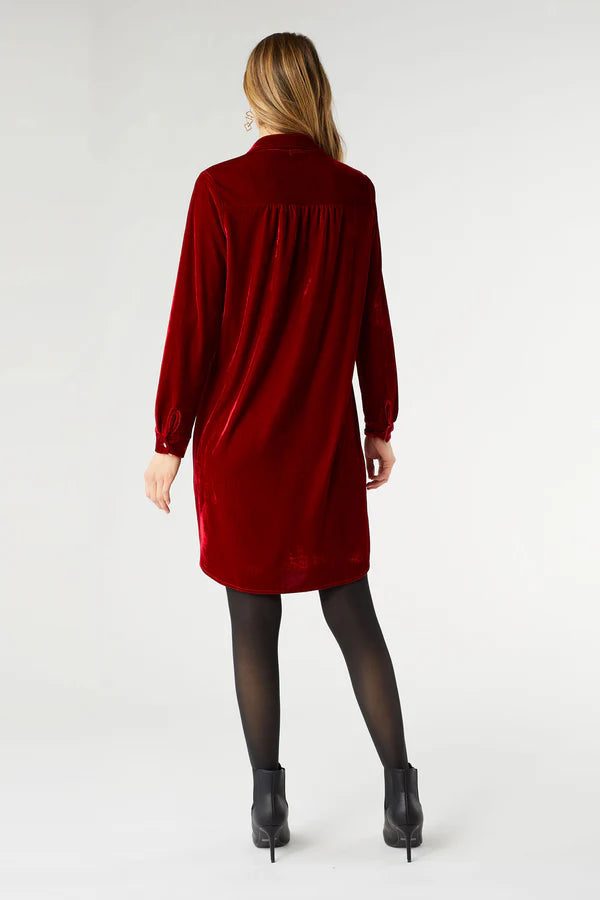 Stella Velour Button Front Dress