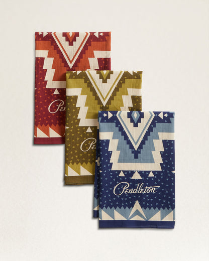 PC 3-PACK BANDANA