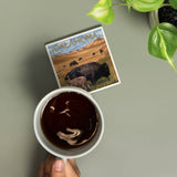 CERAMIC COASTER Oklahoma, Buffalo & Calf