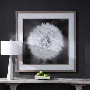 Dandelion Seedhead Framed Print