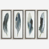 Feathered Beauty Framed Prints