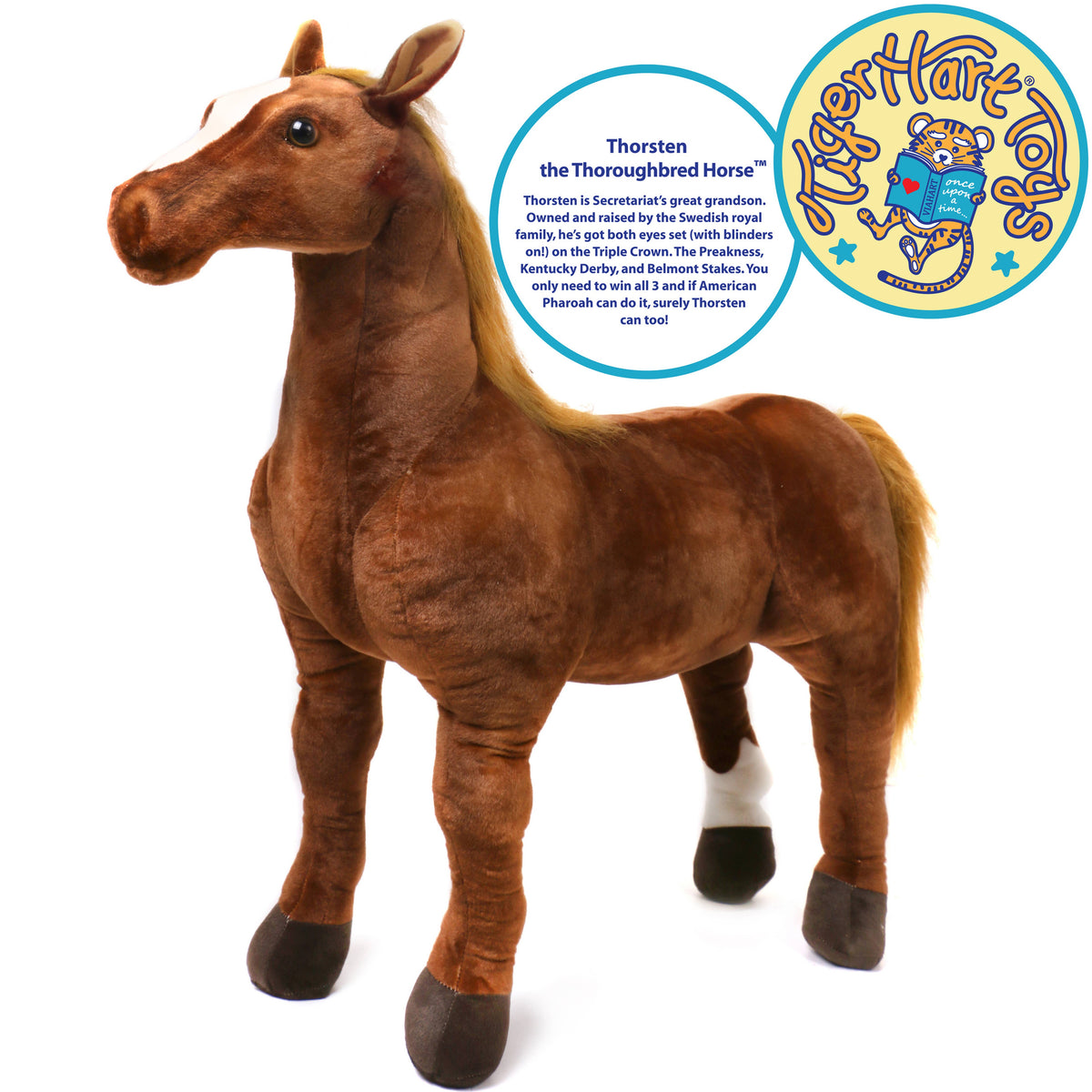 Thorsten The Thoroughbred Horse