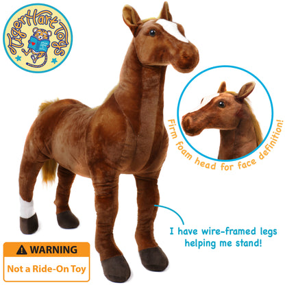 Thorsten The Thoroughbred Horse