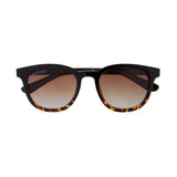 BP19917 - Gram  - Onyx To Walnut Tortoise Fade / Gradient Br