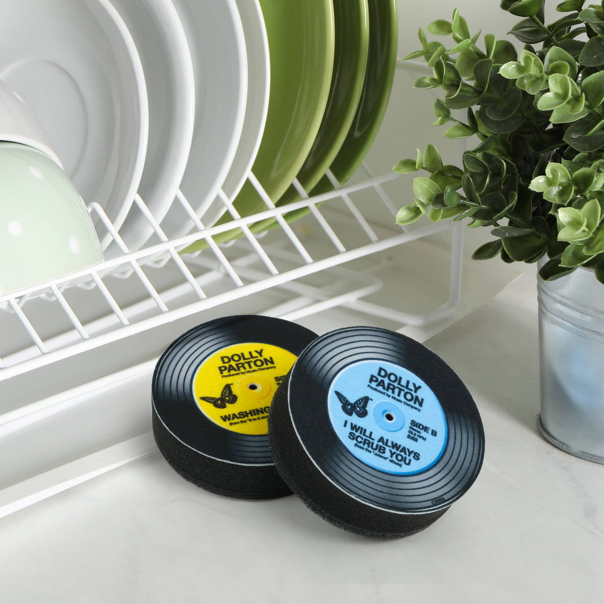 Dolly Parton Record Sponges, Set of 2, Parody Vinyl Designs