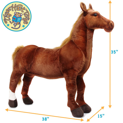 Thorsten The Thoroughbred Horse