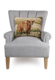 Highland Cattle Hook Pillow