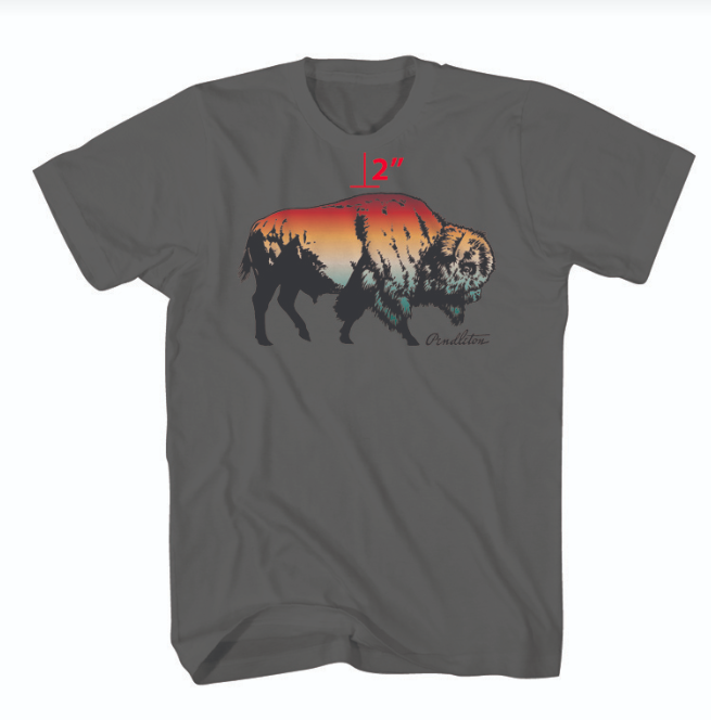 PC OMBRE BISON GRAPHIC TEE