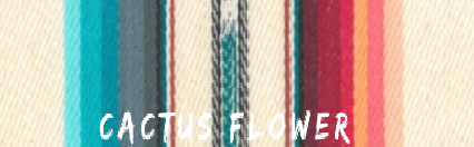 Serape Coverlet