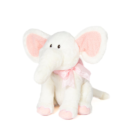 Elephant Ivy