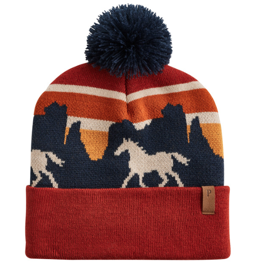 PC RETRO SCENE BEANIE