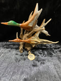 ANR DRIFTWOOD DUCKS