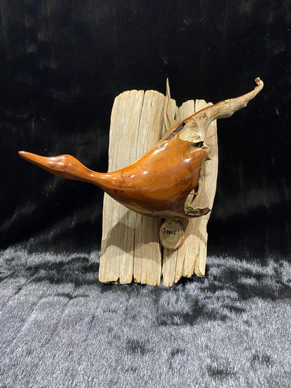 ANR DRIFTWOOD DUCKS