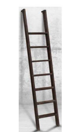 LADDER #9
