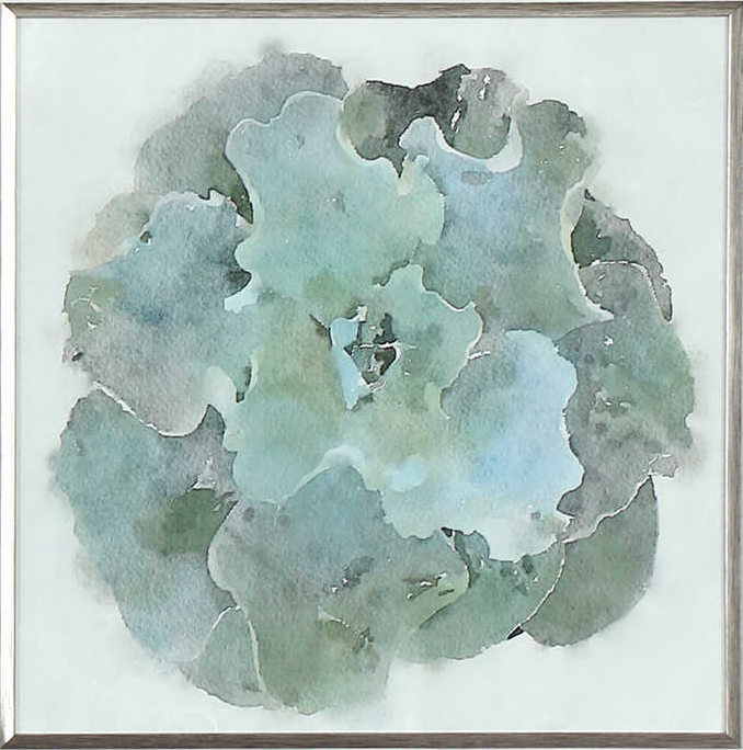 Natural Beauties Framed Prints