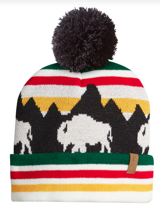 PC RETRO SCENE BEANIE