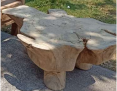 Large Live Edge Coffee Table