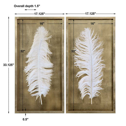 White Feather Shadow Box