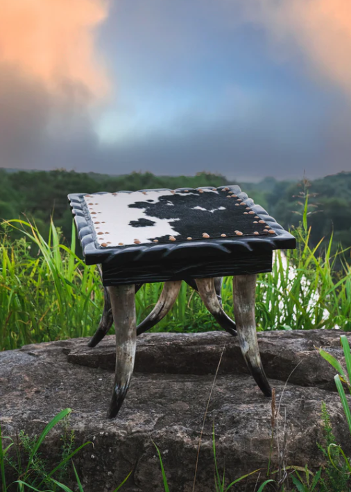 Horn Collection End Table (Square)