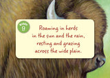 Little Oklahoma board book