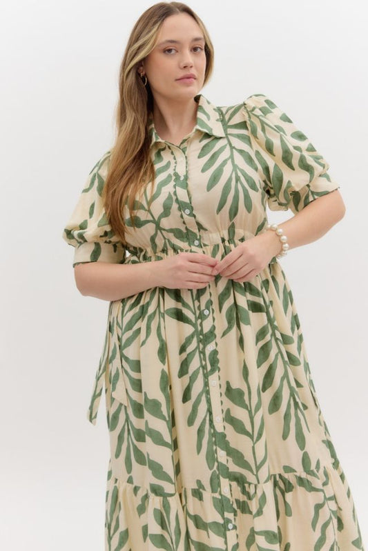ENTRO D26616 OLIVE