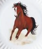 180° Western Melamine Appetizer Plate