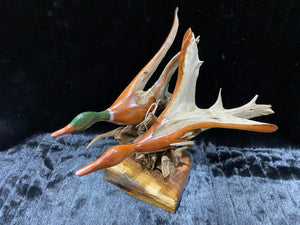 ANR DRIFTWOOD DUCKS