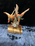 ANR DRIFTWOOD DUCKS