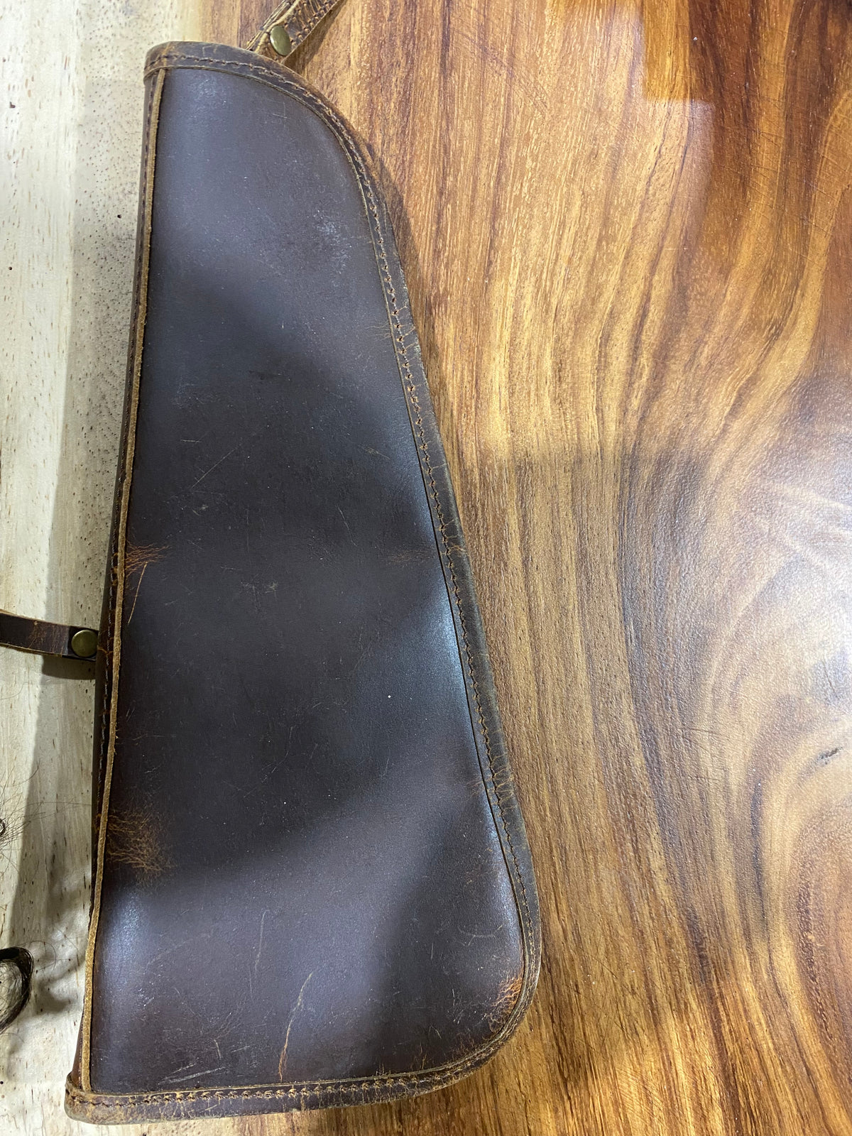 TLG PISTOL CASE