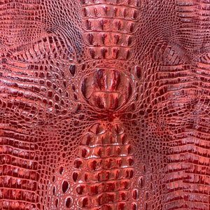 Crocodile Coral