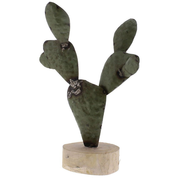 Paddle Cactus