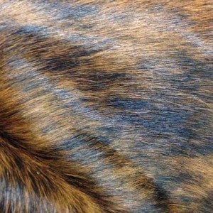 Pecan Brindle Cowhide