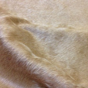 Solid Beige Cowhide