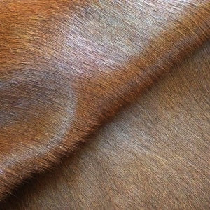 Solid Brown Cowhide