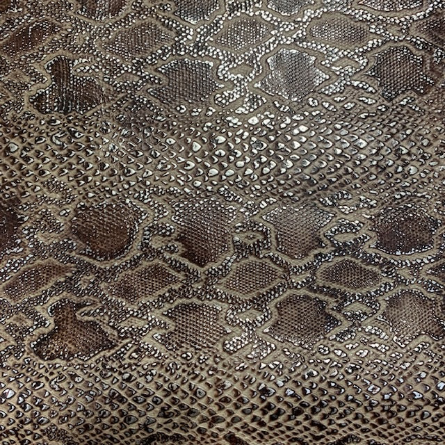 Python Ivory Chocolate & Silver