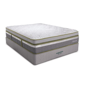 Twin Xl Sandmahn Mattress W/ Mattress