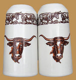 True West Salt & Pepper Shakers